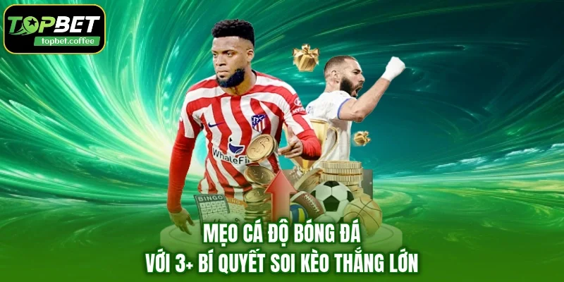 Mẹo Cá Độ Bóng Đá Với 3+ Bí Quyết Soi Kèo Thắng Lớn 