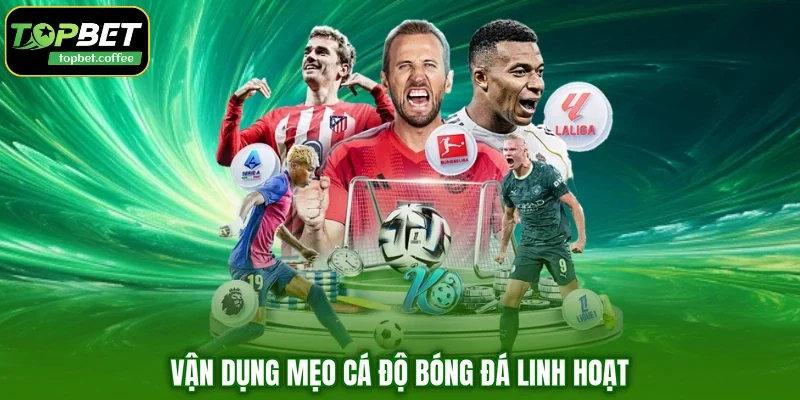 Vận dụng mẹo cá độ bóng đá linh hoạt